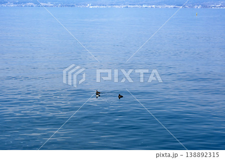 早春の穏やかな琵琶湖の情景 早春の穏やかな琵琶湖の情景 138892315