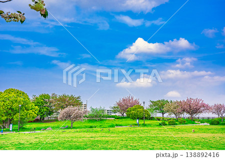 春の東立石緑地公園 138892416