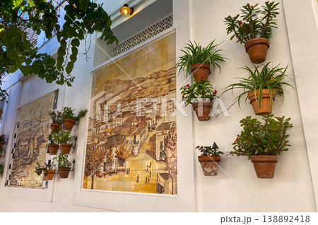 A bright white street lined with colorful flower pots and blooming plants creates a charming Mediterranean scene in Estepona, Spain 138892418