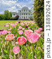 Tulip flowers blooming in the city park 138892624