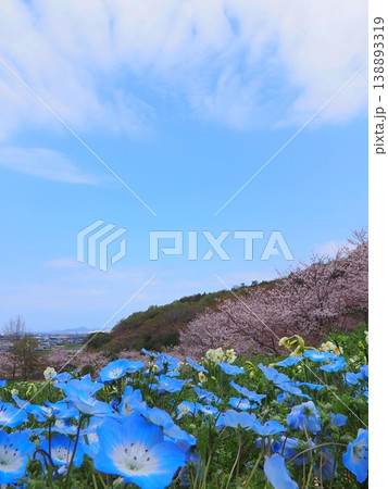 善通寺市五岳の里市民集いの丘公園の春　香川県善通寺市15 138893319