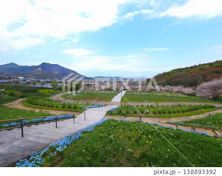 善通寺市五岳の里市民集いの丘公園の春　香川県善通寺市35 138893392