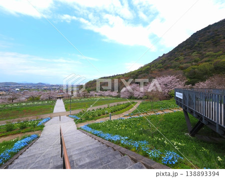 善通寺市五岳の里市民集いの丘公園の春　香川県善通寺市33 138893394
