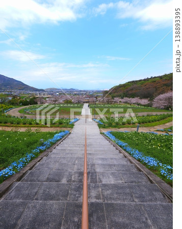 善通寺市五岳の里市民集いの丘公園の春 香川県善通寺市32 善通寺市五岳の里市民集いの丘公園の春 香川県善通寺市32 138893395