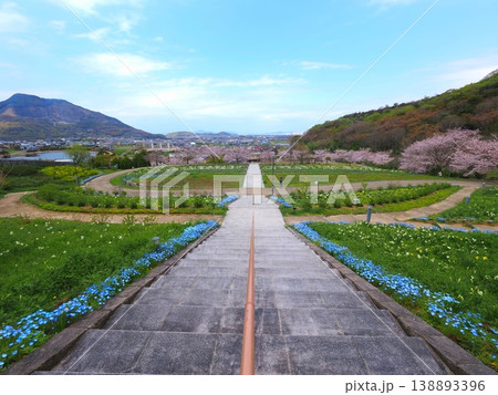 善通寺市五岳の里市民集いの丘公園の春 香川県善通寺市31 善通寺市五岳の里市民集いの丘公園の春 香川県善通寺市31 138893396