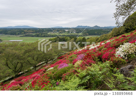 色とりどりのツツジの花が咲く日輪寺 色とりどりのツツジの花が咲く日輪寺 138893668