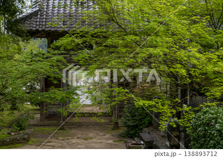 色とりどりのツツジの花が咲く日輪寺 色とりどりのツツジの花が咲く日輪寺 138893712