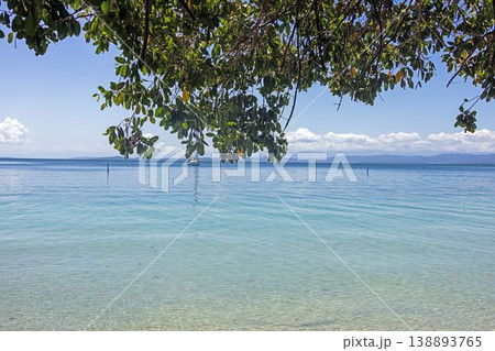 Calm turquoise sea with boat under tree canopy Bocas del Toro Panama Calm turquoise sea with boat under tree canopy Bocas del Toro Panama 138893765