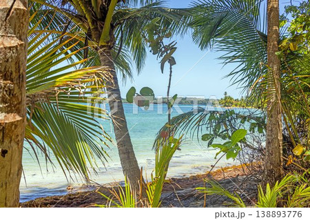 Tropical beach framed by palms and jungle Panama 138893776