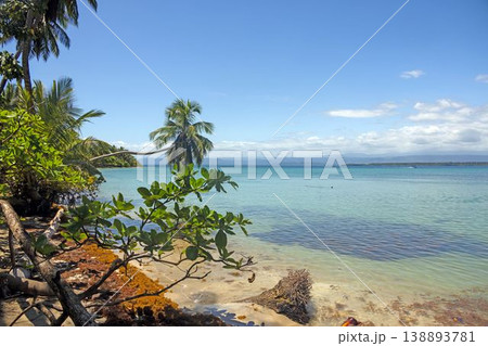 Tropical coast with palm trees and blue sea in Panama Tropical coast with palm trees and blue sea in Panama 138893781