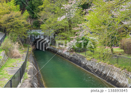 春の琵琶湖疏水　京都市 138893845