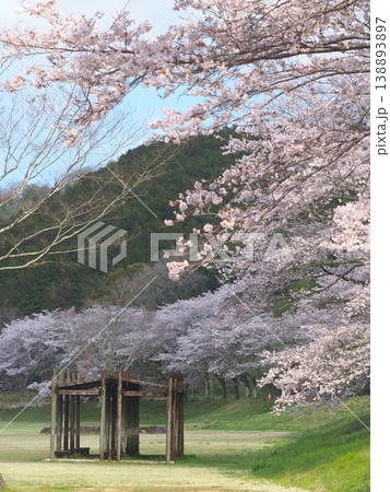 ことなみ土器どき公園の桜2026 香川県まんのう町 ことなみ土器どき公園の桜2026 香川県まんのう町 138893897