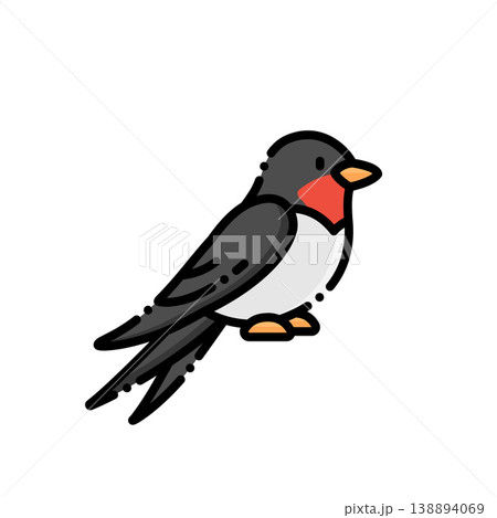 つばめ 鳥綱 春 138894069