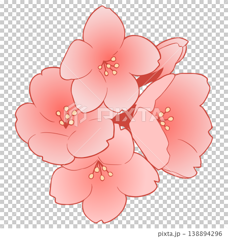 櫻花 櫻花 138894296