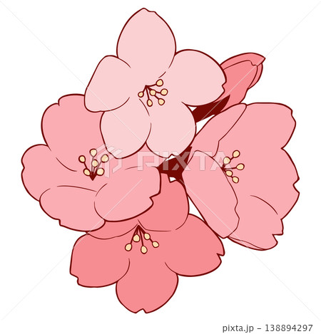 桜の花 138894297