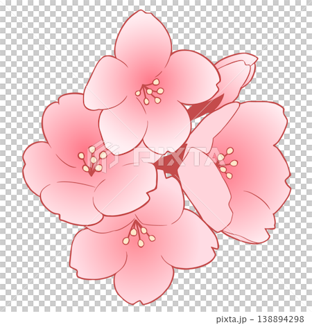 桜の花 桜の花 138894298