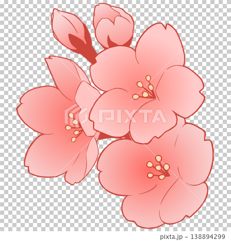 櫻花 138894299