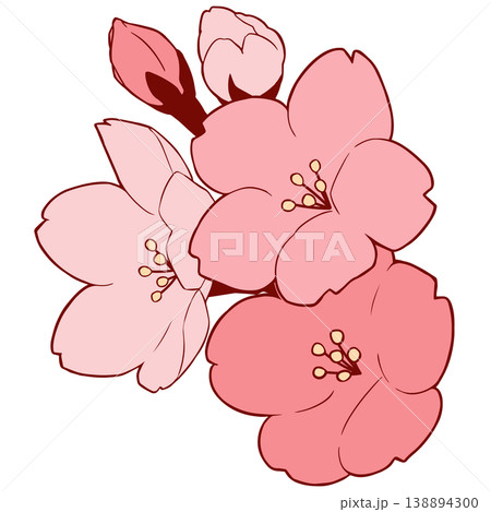 桜の花 138894300