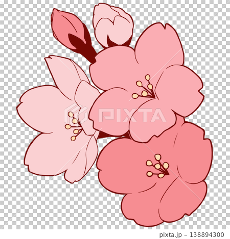 櫻花 櫻花 138894300