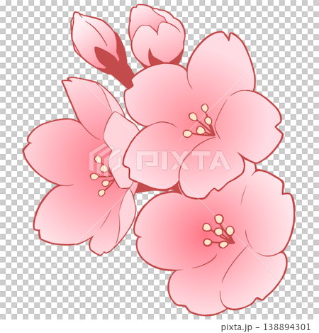 櫻花 櫻花 138894301