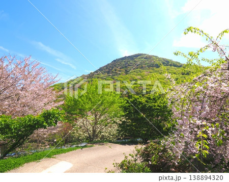 善通寺市五岳の里市民集いの丘公園の春　香川県善通寺市45 138894320