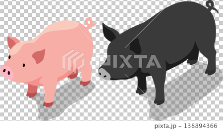 Isometric farm pig livestock illustration Isometric farm pig livestock illustration 138894366