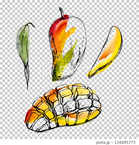 Juicy full, sliced and diced mango pieces, golden tropical flesh. Isolated illustration hand drawn in watercolor and ink. Smoothie branding, drink menus, summer advertising, exotic fruit packaging Juicy full, sliced and diced mango pieces, golden tropical flesh. Isolated illustration hand drawn in watercolor and ink. Smoothie branding, drink menus, summer advertising, exotic fruit packaging 138895773