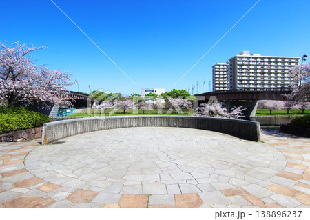 大島小松川公園の桜 138896237