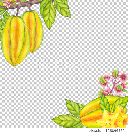 Starfruit fruit hanging from blooming tree...のイラスト素材 [138896322] - PIXTA
