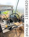 Garden tools and a seedling in a pot standing on a wooden chair.  138896820
