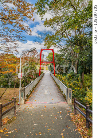 新城市の桜淵公園の風景(愛知県) 138897205