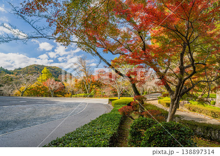 新城市の桜淵公園周辺の風景(愛知県) 138897314