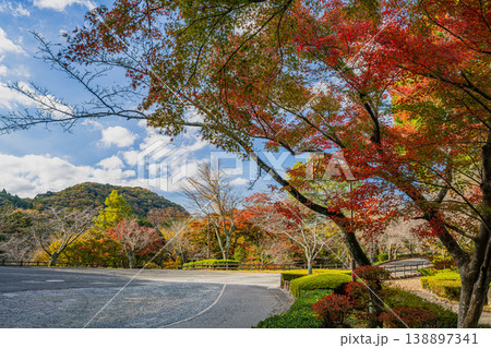 新城市の桜淵公園周辺の風景(愛知県) 新城市の桜淵公園周辺の風景(愛知県) 138897341