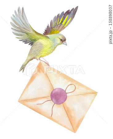 A flying bird carrying a letter. Handmade watercolor illustration. For packaging design, cards, cover, prints, product labels and fabric. A flying bird carrying a letter. Handmade watercolor illustration. For packaging design, cards, cover, prints, product labels and fabric. 138898037