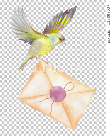 A flying bird carrying a letter. Handmade watercolor illustration. For packaging design, cards, cover, prints, product labels and fabric. A flying bird carrying a letter. Handmade watercolor illustration. For packaging design, cards, cover, prints, product labels and fabric. 138898037