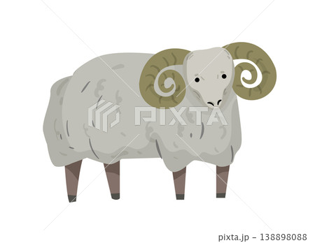 Cartoon vector illustration of a ram with big horns. Flat style farm animal isolated on white background for agriculture design. Cartoon vector illustration of a ram with big horns. Flat style farm animal isolated on white background for agriculture design. 138898088