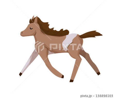 Cartoon vector illustration of a young horse running. Flat style farm animal isolated on white background for children and agriculture design. 138898103