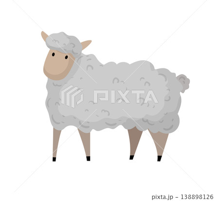 Cartoon vector illustration of a sheep standing. Flat style farm animal isolated on white background for agriculture and livestock design. 138898126