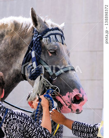 藤崎宮例大祭りの飾り馬(熊本市) 藤崎宮例大祭りの飾り馬(熊本市) 138898372