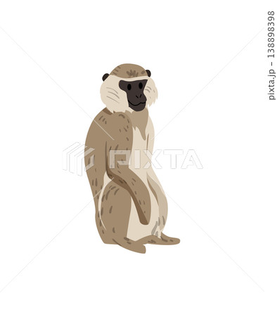 Light Brown Monkey Standing Light Brown Monkey Standing 138898398
