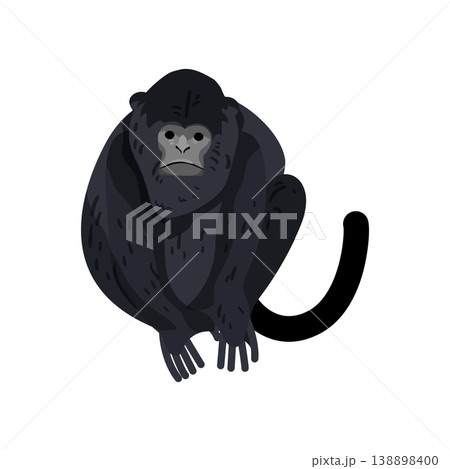 Black Monkey Sitting Black Monkey Sitting 138898400