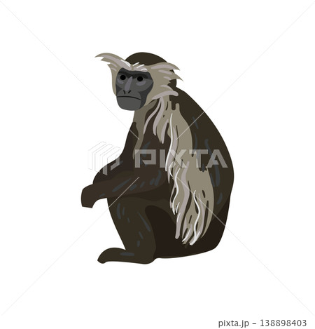 Dark Brown Monkey Sitting Dark Brown Monkey Sitting 138898403