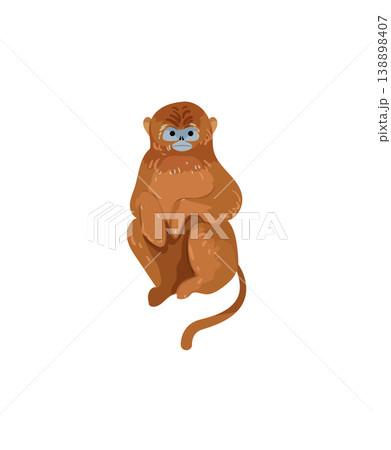 Orange Monkey Sitting Orange Monkey Sitting 138898407