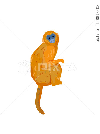 Yellow Monkey Sitting on Branch Yellow Monkey Sitting on Branch 138898408