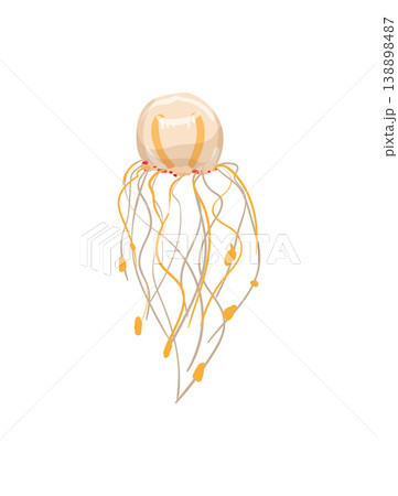 Light Yellow Jellyfish 138898487