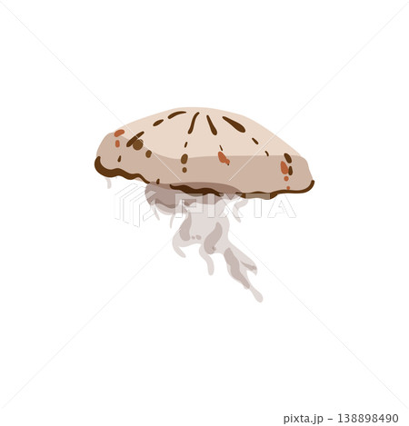 Brown Spotted Jellyfish 138898490
