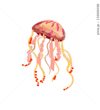 Pink and Orange Jellyfish 138898496