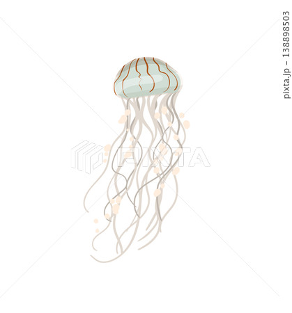 Light Gray Jellyfish 138898503