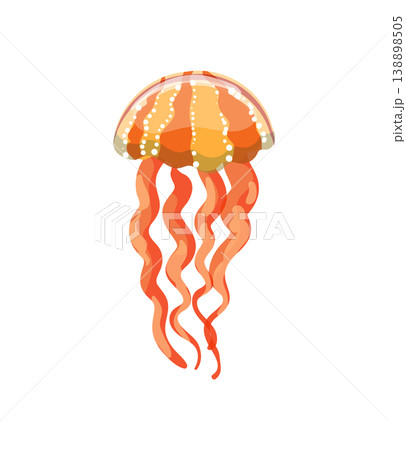 Orange Striped Jellyfish Orange Striped Jellyfish 138898505