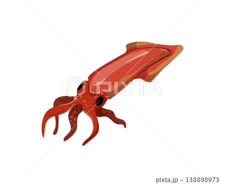 Squid 138898973